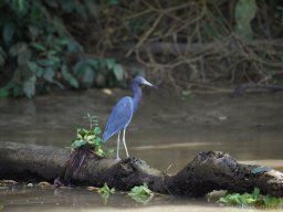 QueenVictoria2015-033